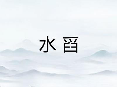 水舀
