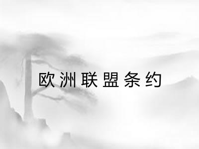 欧洲联盟条约 欧洲联盟条约