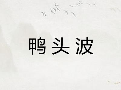 鸭头波