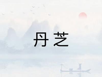 丹芝