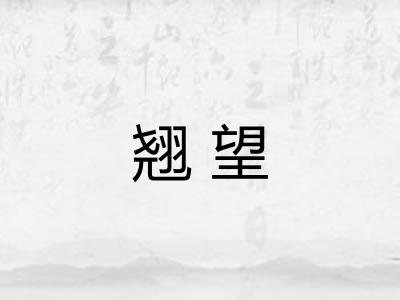 翘望