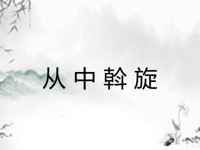 从中斡旋
