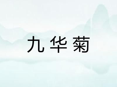 九华菊