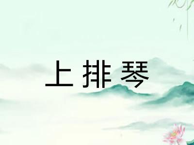 上排琴 上排琴