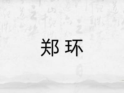 郑环