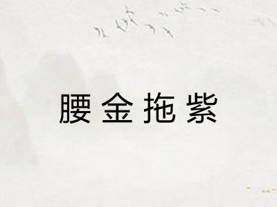 腰金拖紫