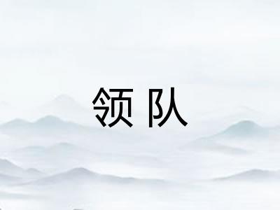 领队