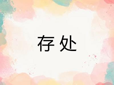 存处