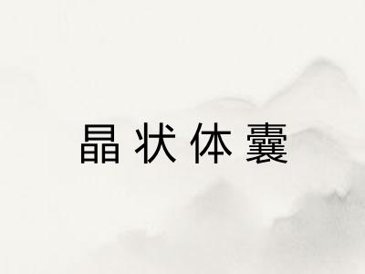 晶状体囊 晶状体囊