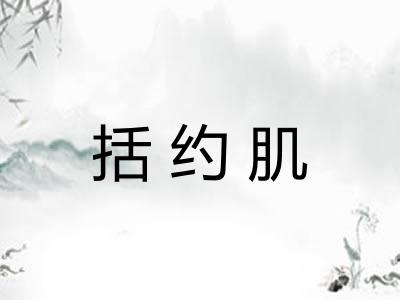 括约肌