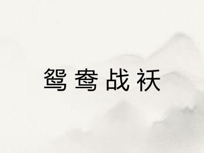 鸳鸯战袄