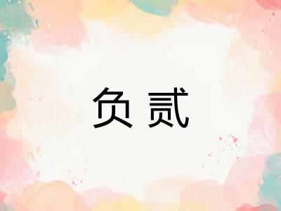 负贰 负贰
