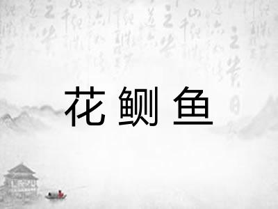 花鲗鱼