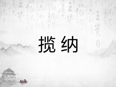 揽纳
