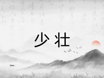少壮