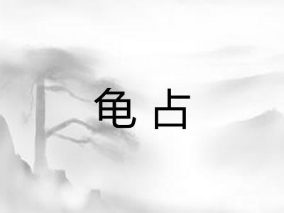 龟占