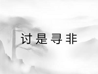 讨是寻非