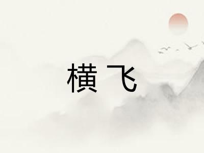 横飞 横飞