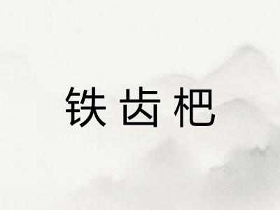 铁齿杷 铁齿杷