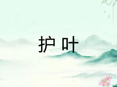 护叶