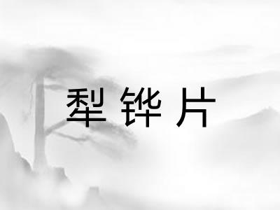 犁铧片 犁铧片