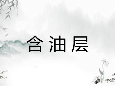 含油层 含油层