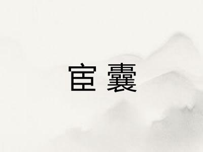 宦囊 宦囊