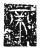 帝(传抄·魏·三体石经)