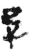 忌(简·秦·放马滩)