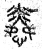 怜(印刷字体·宋·增韵)