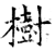 樹(石经·唐·开成石经)
